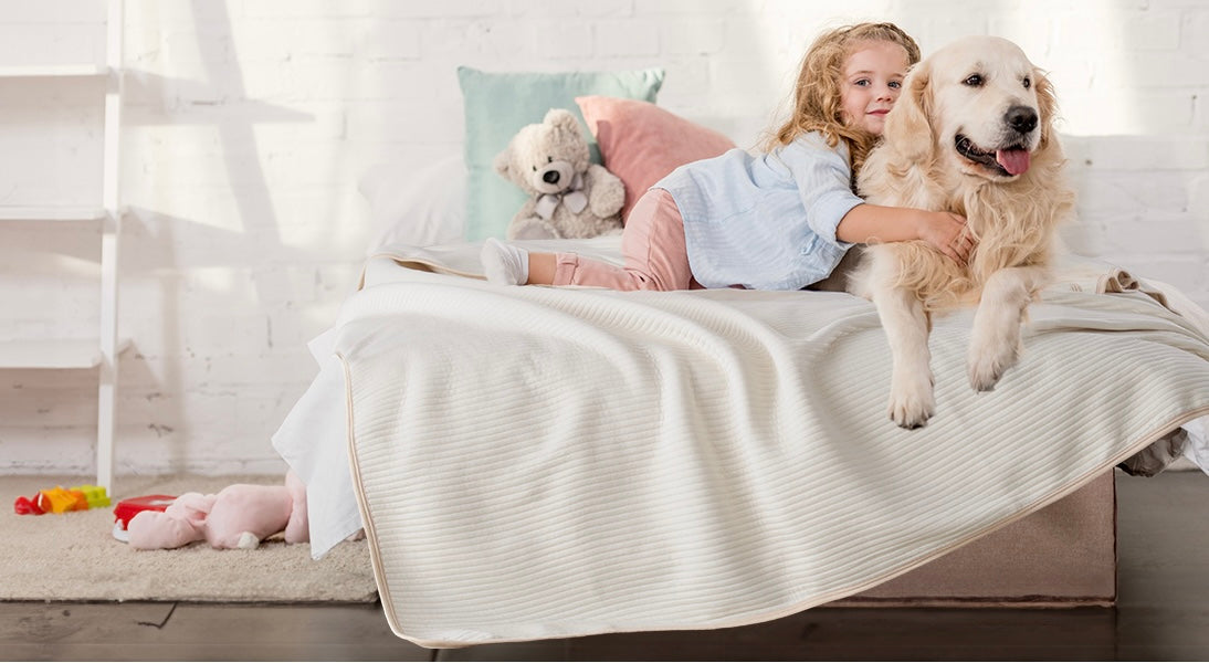 Best Bedding Options for Pet Owners