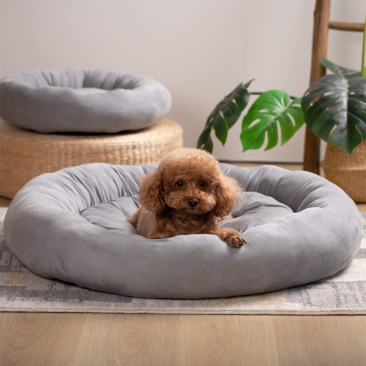 Frontgate dog outlet beds